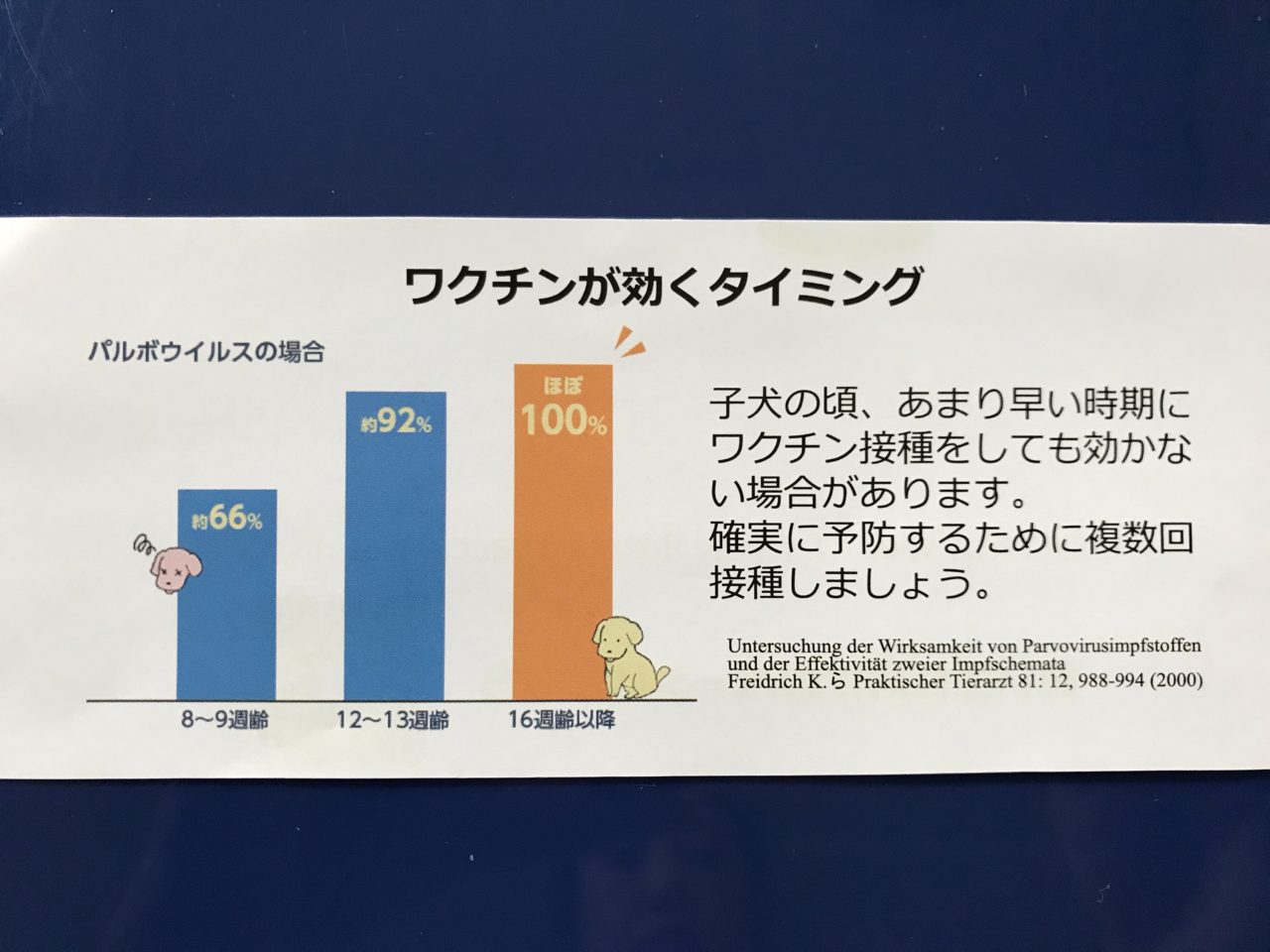 ワクチンが効くタイミング