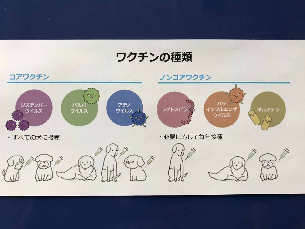ワクチンの種類