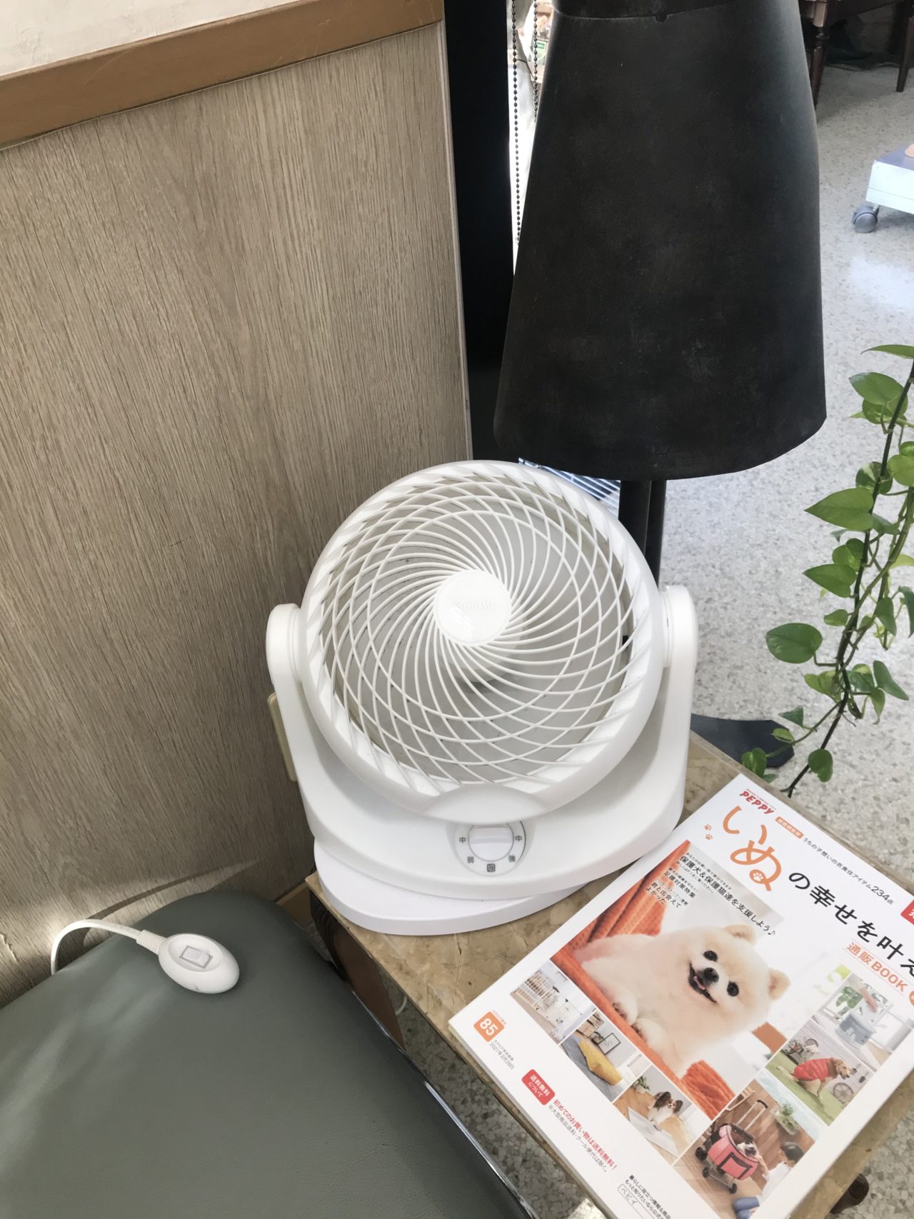 サーキュレーター