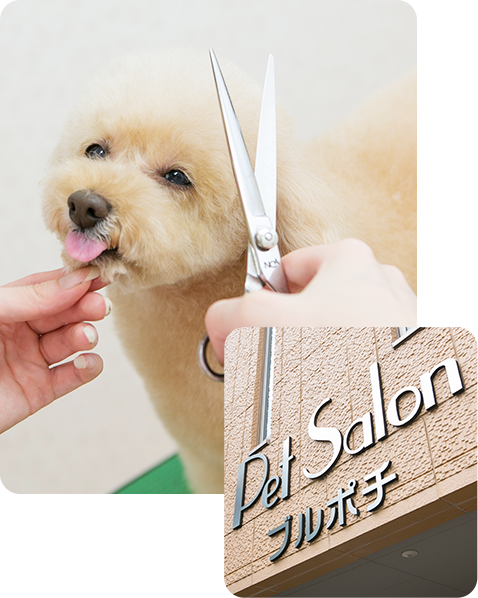 Pet Salonブルポチの画像