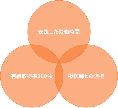 『ぴゃん動物病院』で働く3つのメリットの図